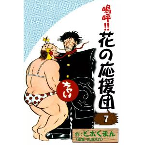 黄昏流星群全76巻セット 全巻セット 黄昏流星群全巻セット 弘兼 憲史