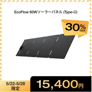 ECOFLOW ソーラーパネル 220W片面ソーラーパネルGen2 太陽光発電 太陽