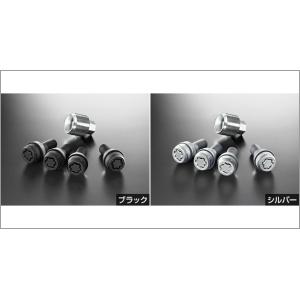 epix_t-spo-31