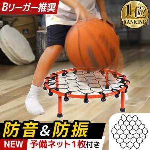 エアドリブル Alr Dribble バスケットボール 室内練習グッズ/Clipper