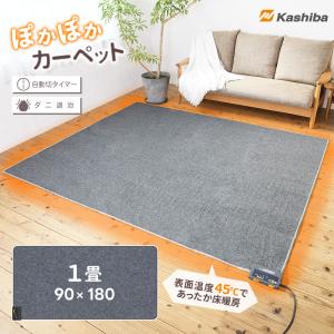 Panasonic（パナソニック） 着せ替えカーペット セットタイプ【DC