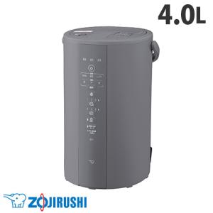 象印 スチーム式加湿器 4.0L EE-DF50 25年新型 加湿器 ホワイト グレー