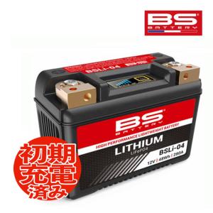正月も即日発送 LFX14A4-BS12 SHORAI ショーライバッテリー リチウム