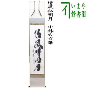 茶道具 掛軸 一行書 「明歴々露堂々」 大徳寺 黄梅院 小林太玄師 直筆