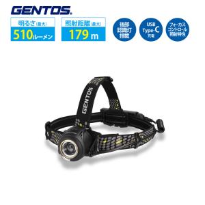 Gシリーズ ジェントス LEDヘッドライト GH-300RG ヘッドライト USB充電