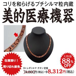 レダシルマ nano INGOT ネックレス プチシルマのジュエリー