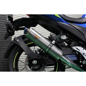 Realize ジクサー250 ジクサーSF250 バイクマフラー 2BK-ED22B 8BK