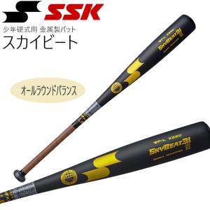 MIZUNO（ミズノ） 2024新基準対応 硬式 金属バット Vコング02