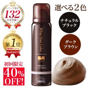 b.ris（ビーリス） エアリーカラーリングフォーム ダークブラウン 80g