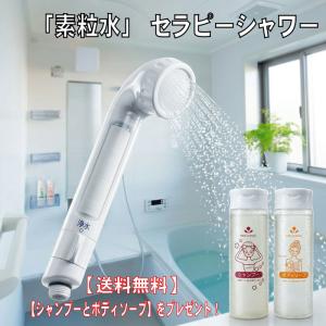 送料無料】ワンウォーターECO 素粒水浄水器 : グリーンウィンド