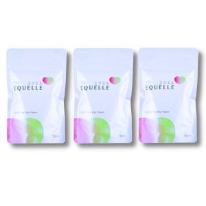 エクエル 120粒入 3個セット パウチ エクオール 大塚製薬 EQUELLE