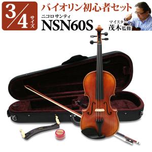 Eastman イーストマン SVL80 選べる分数バイオリン 初心者セット 4/4