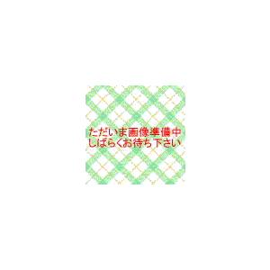 リコー（RICOH） Pトナー IM C6010 4色セット 送料無料 純正品 トナー