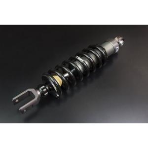 Suspension Edge サスペンションエッヂ リアスポーツスプリング