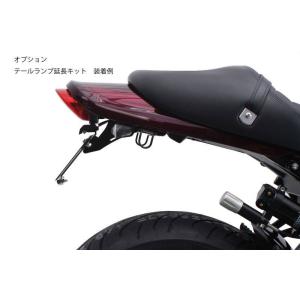 DAYTONA（デイトナ） フェンダーレスキット Z900RS/ZR900 （98049