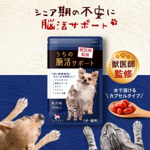 2026年3月】モエギイガイ（犬用サプリメント）のおすすめ人気
