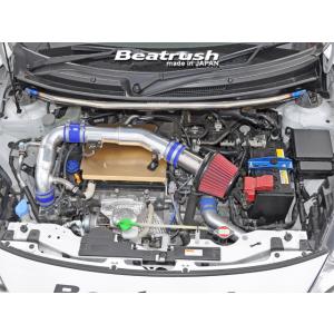 TRUST（トラスト） 【TRUST/トラスト】GReddy リアキャンバー