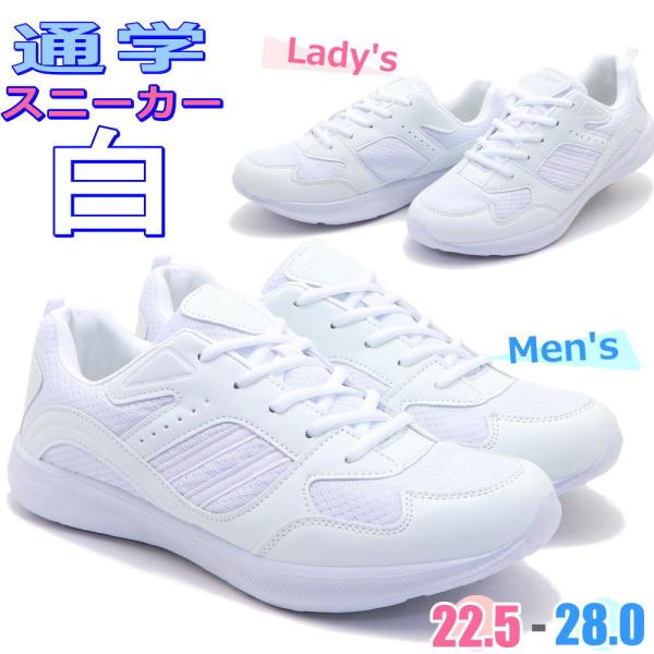 aika0824_op1975