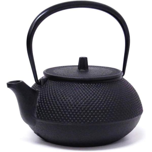 岩鋳（IWACHU） 南部鉄器 急須兼用鉄瓶 茶こし付き 5型 新アラレ 10022