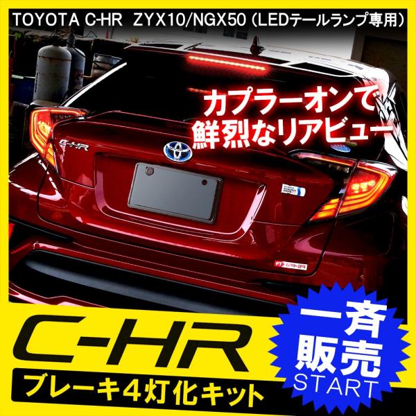 mr-store_cs4tot049