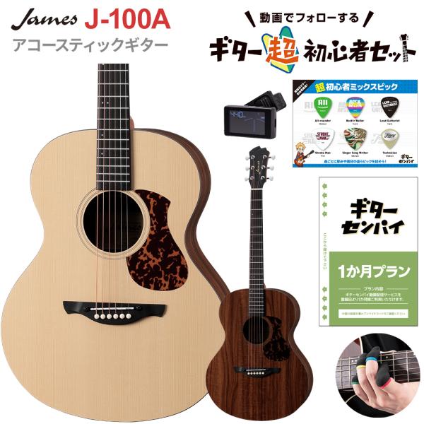 ジェームス（James） ギターを挫折したくないあなたへ J-100A 超初心者