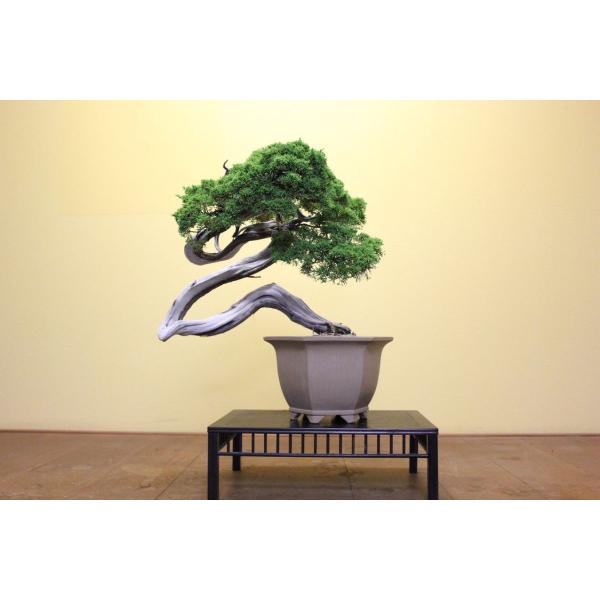 wabi-sabi_100006ab