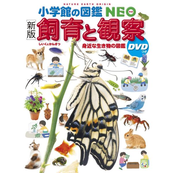 小学館の図鑑NEO［新版］飼育と観察 DVDつき : 六本木 蔦屋書店 ヤフー