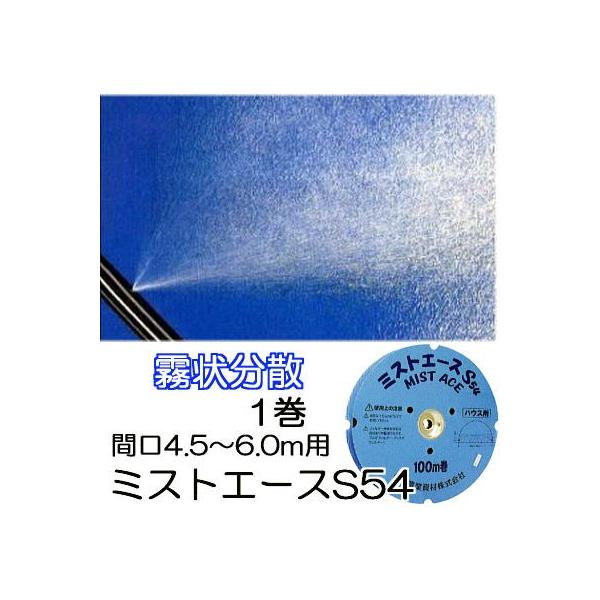 tackey_saka0721
