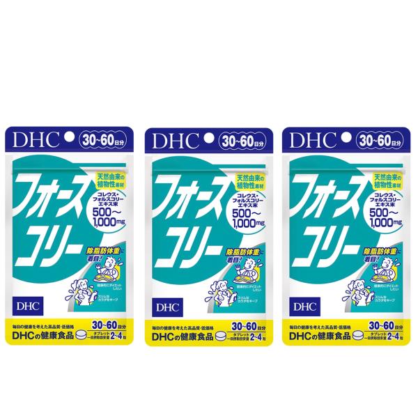 DHC フォースコリー 30日分〜60日分×3袋セット 合計360粒 賞味期限2028