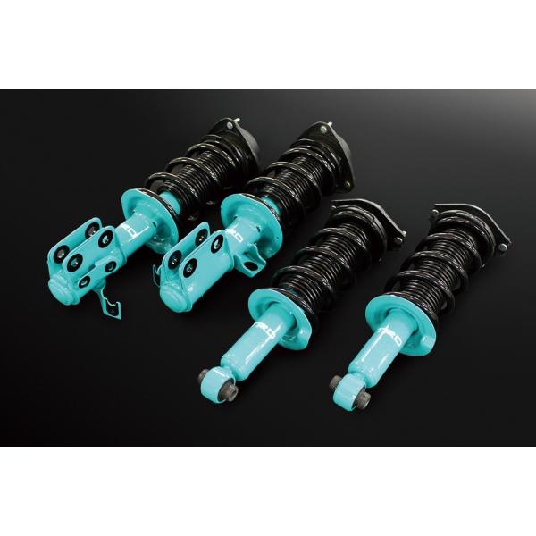 vigoras_ms250-18004