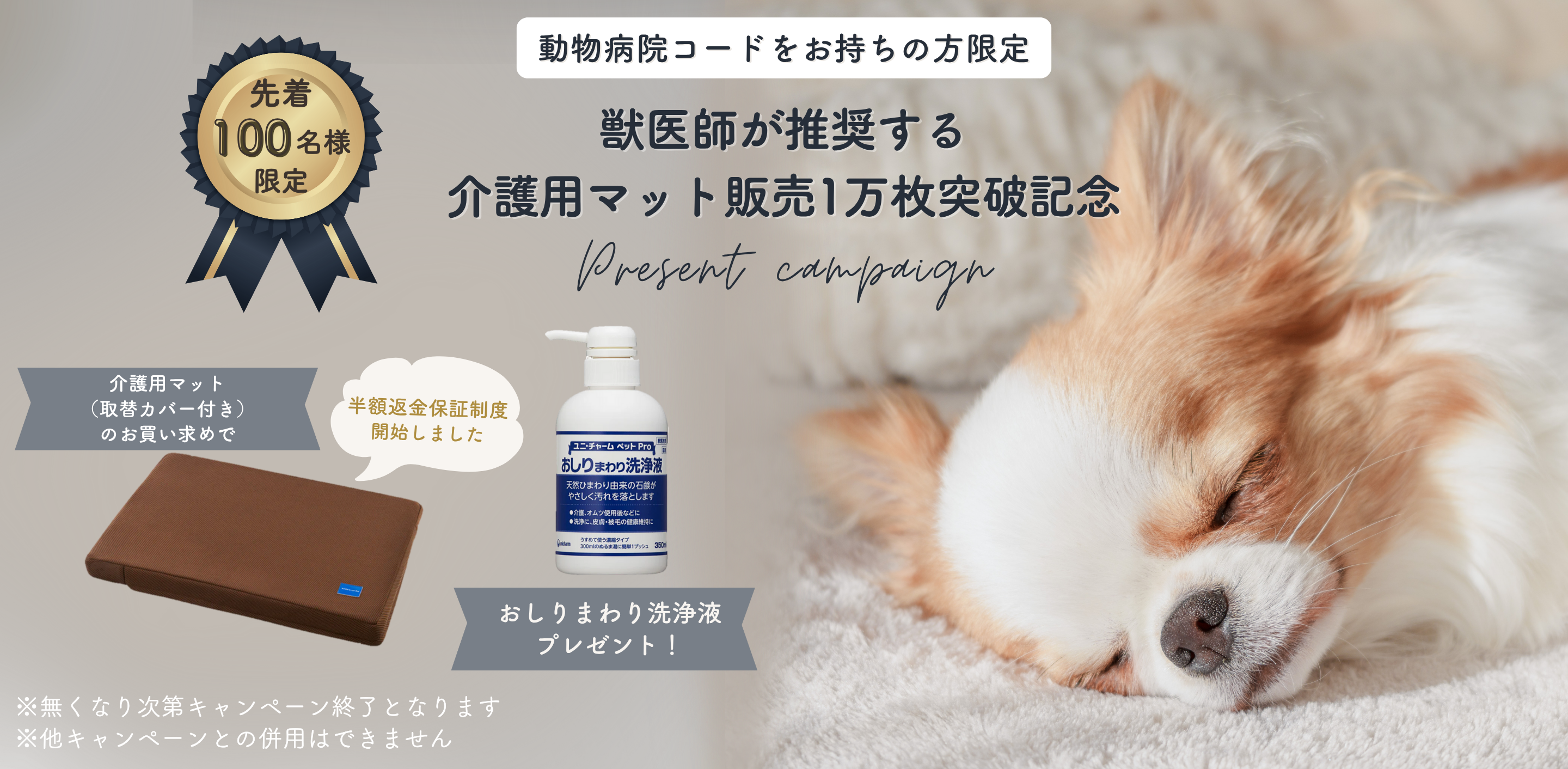 心血管の健康維持