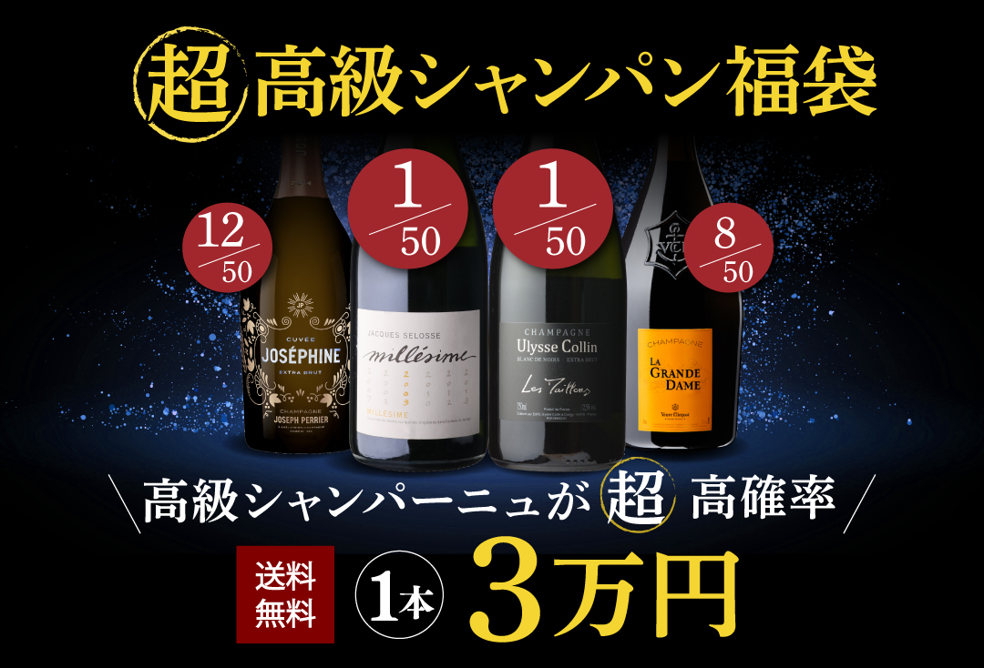 シャトー サン ピエール 2018 750mlフランス ボルドー サンジュリアン