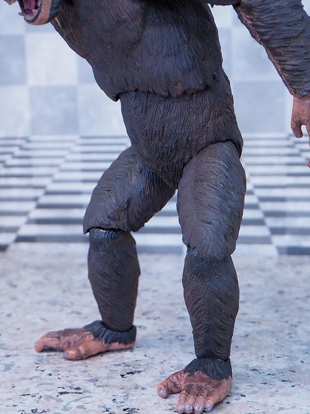 NECA 猿の惑星: 新世紀 シーザー レビュー : おもちゃの巣（玩具レビュー）