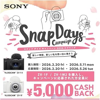 Amazon | SONY(ソニー) コンパクトデジタルカメラ VLOGCAM Vlog用