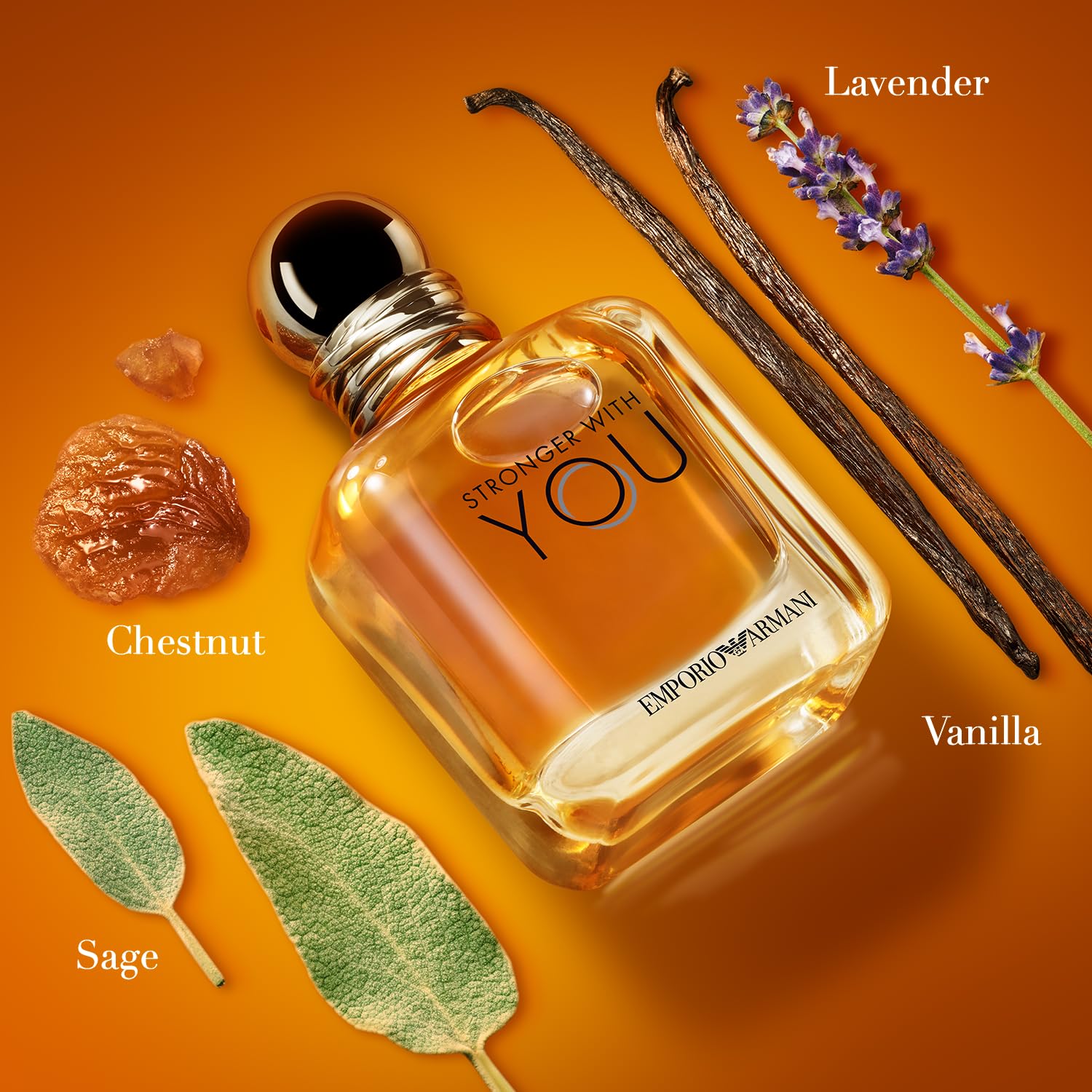 Amazon | エンポリオアルマーニ ストロンガーウィズユー EDT SP 100ml