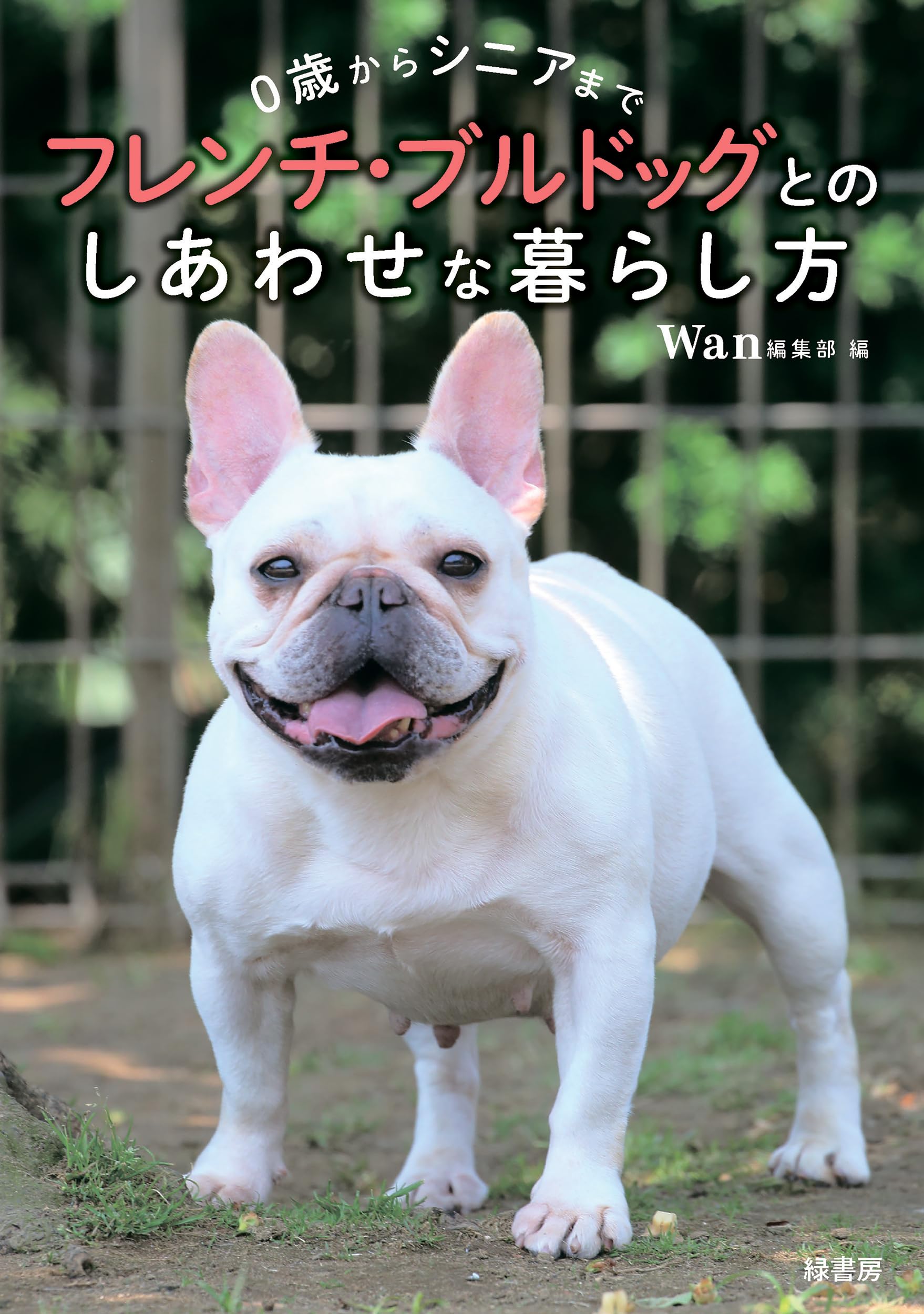 0歳からシニアまで フレンチ・ブルドッグとのしあわせな暮らし方 | Wan