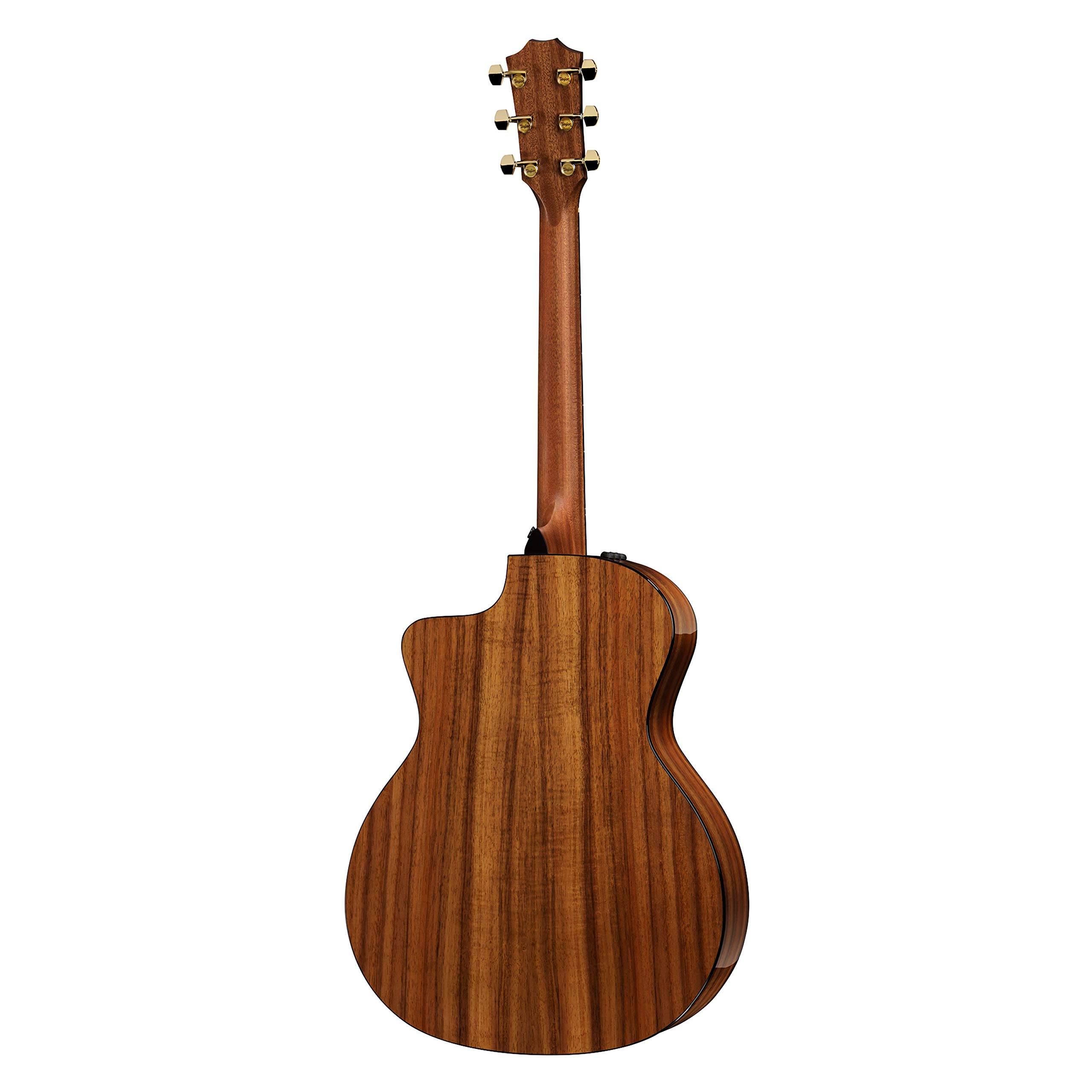 Amazon | Taylor 224ce-K DLX ハワイアン・コア Top テイラー