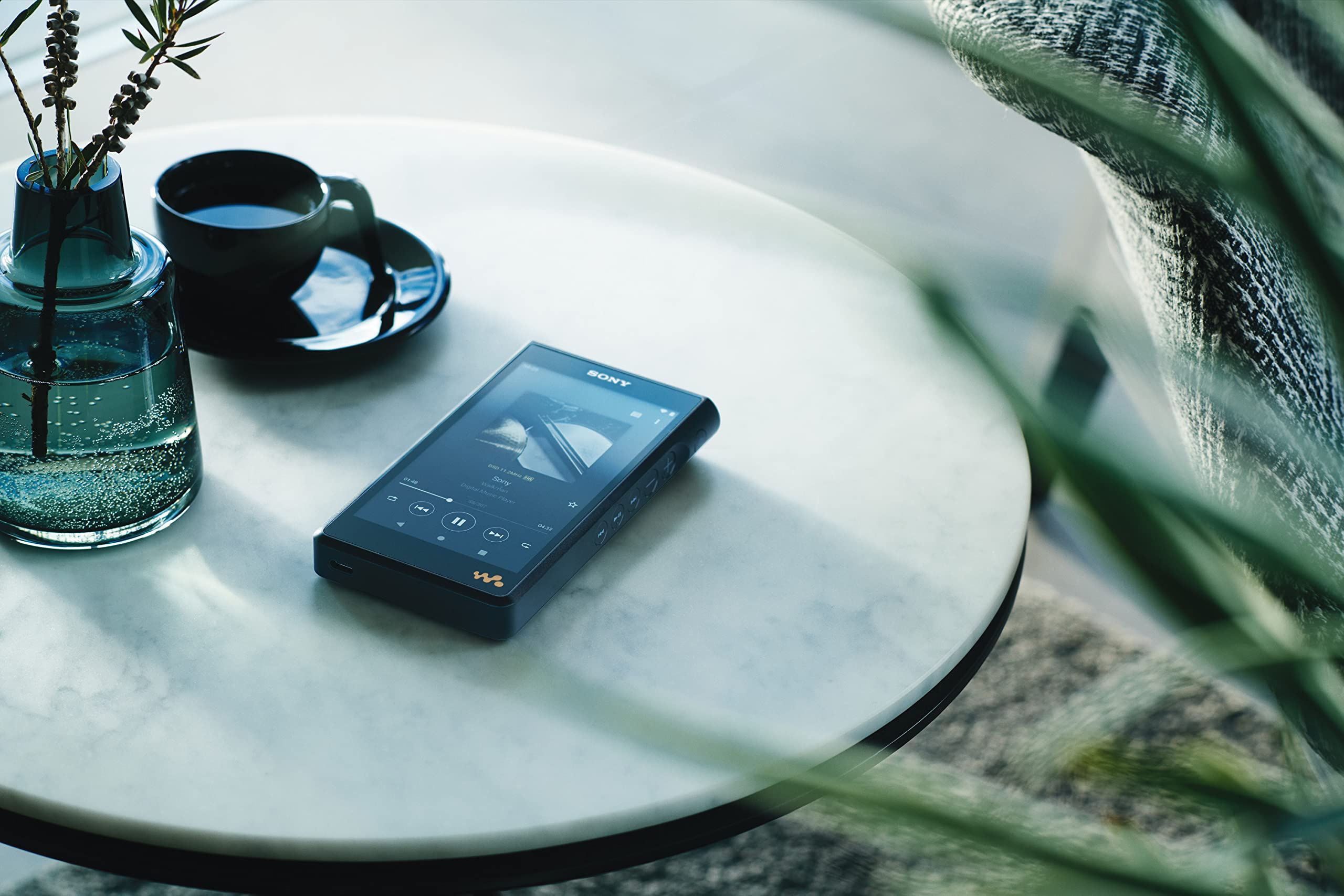 Amazon.com: Sony NW-WM1AM2 Hi-Res 128GB Walkman Digital MP3 Music