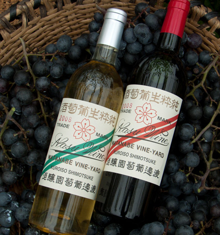 Nasu Wine