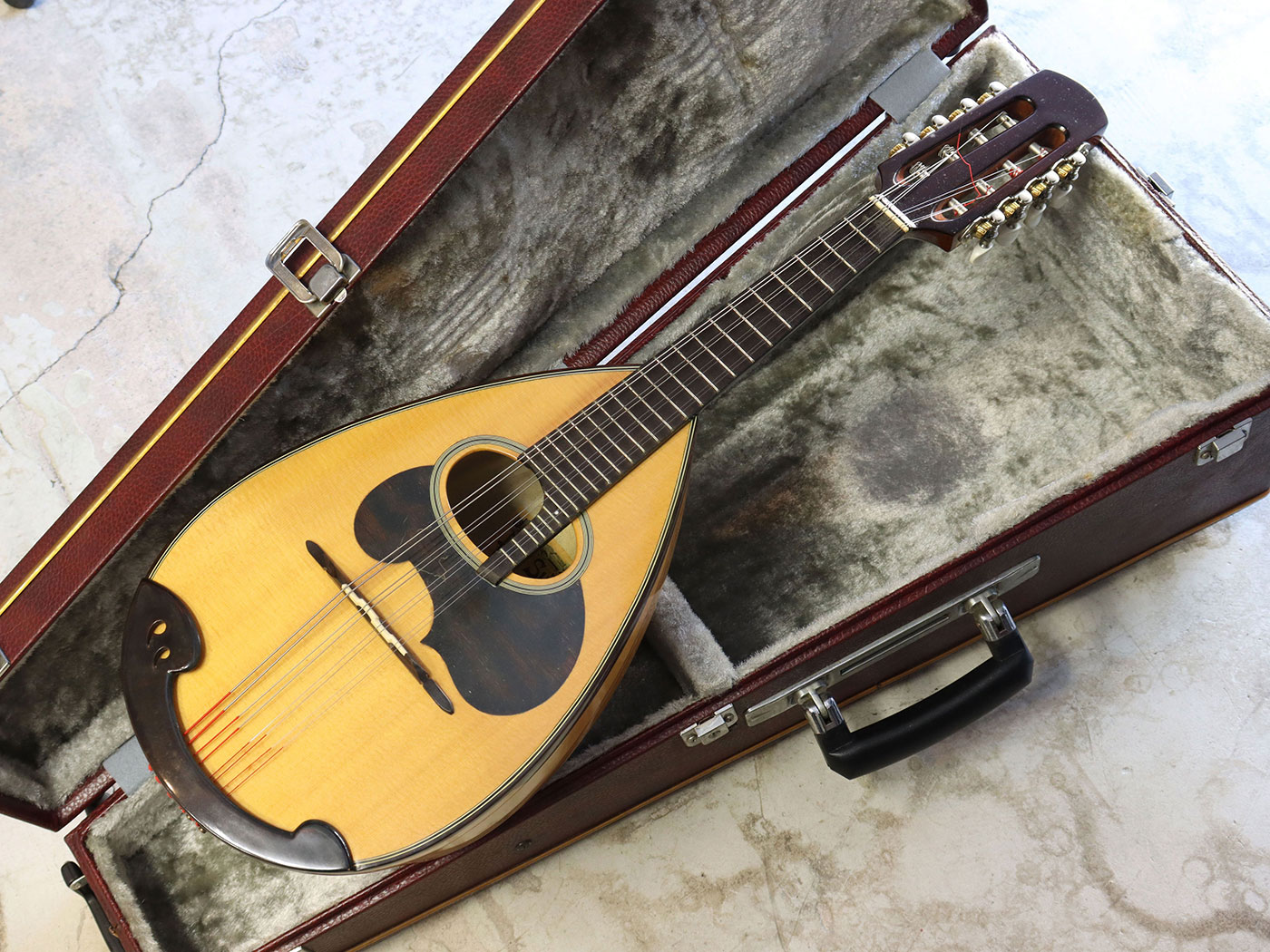 中古】Suzuki M-30 マンドリン - 神奈川県の中古楽器店 パプリカ