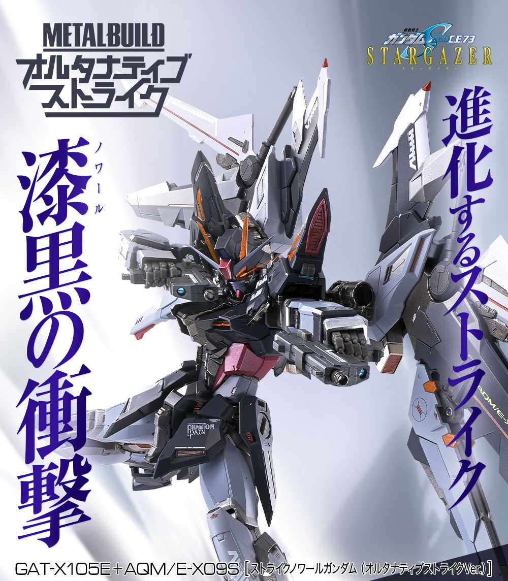 魂ネイション2022 開催記念商品 「METAL BUILD #ストライクノワール