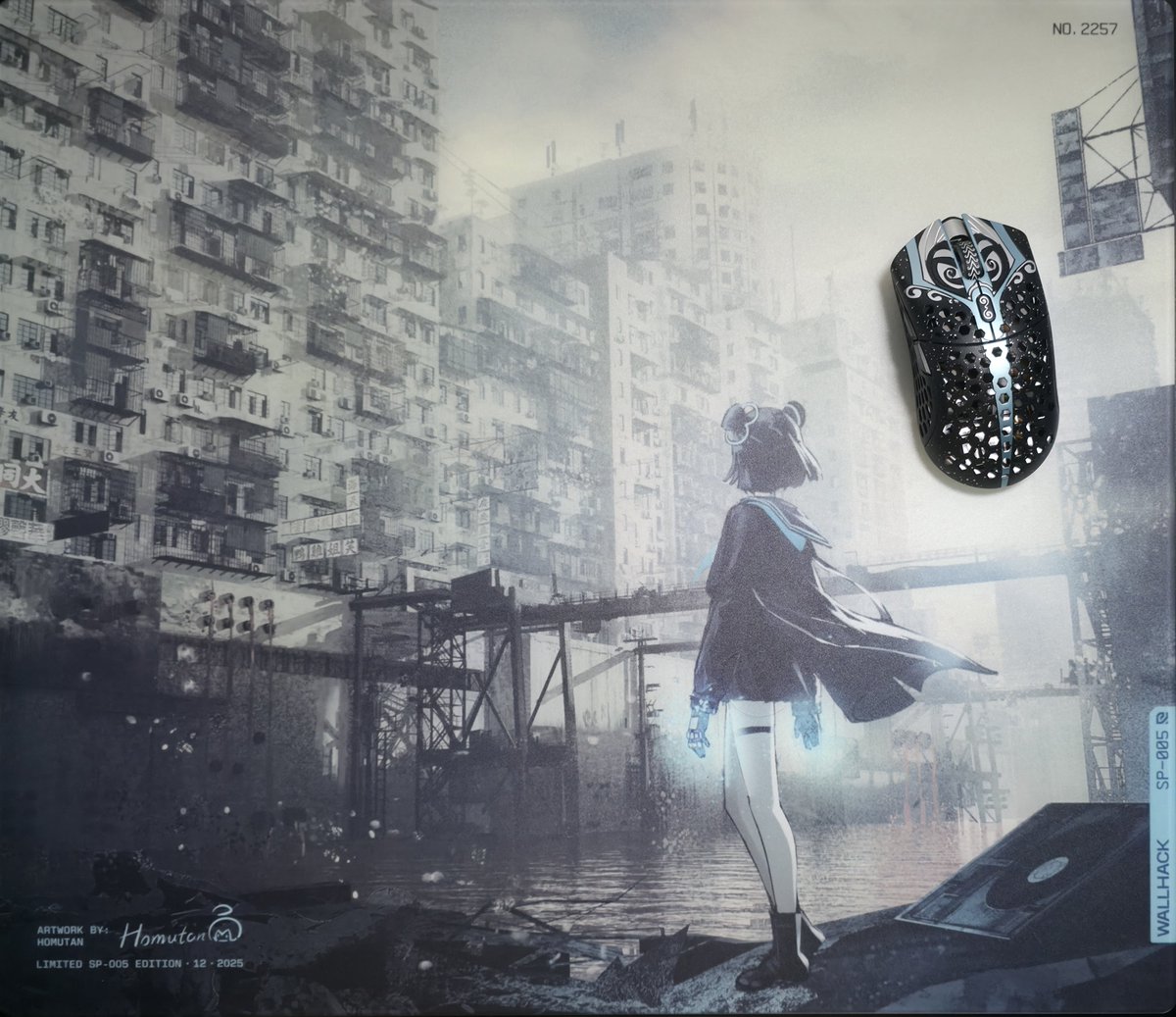 Wallhack SP-005: Desolate Yume