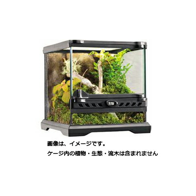 楽天市場】【全国送料無料】GEX エキゾテラ グラステラリウム 4545