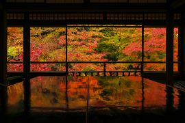 秋の京都「瑠璃光院」 紅葉の見頃・アクセス・ライトアップは