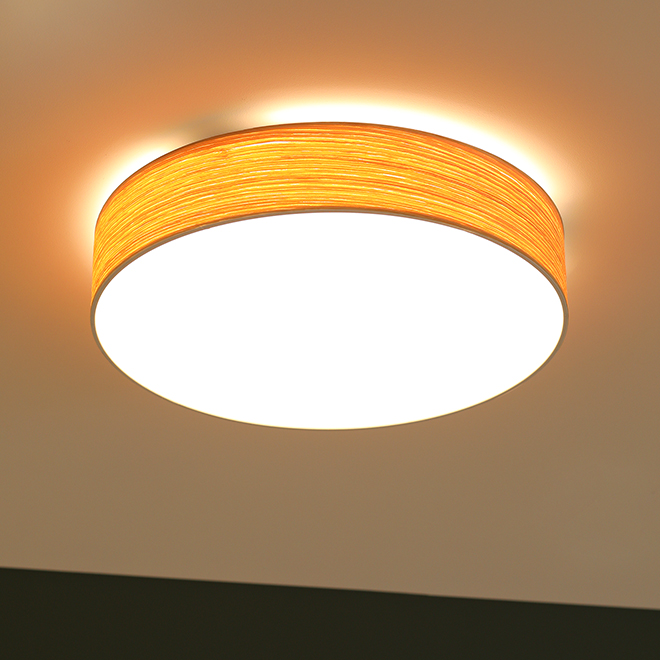 61000161-img1.jpg