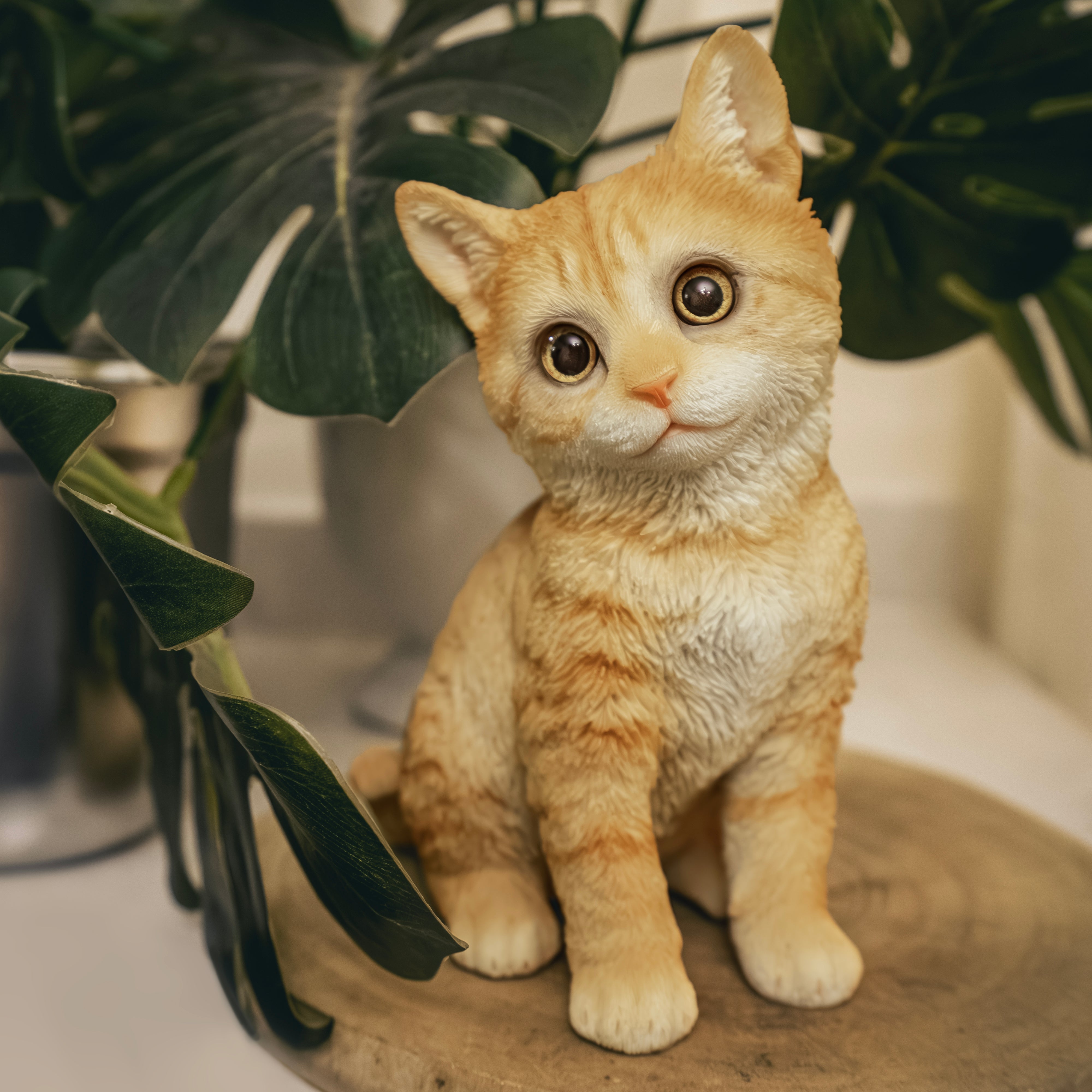 首をかしげる茶トラ猫｜WooBia公式オンラインショップ – WooBia