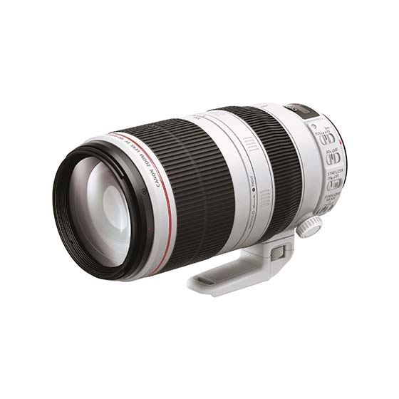 EF100-400mm F4.5-5.6L IS II USM □納期約1週間:交換レンズ 通販