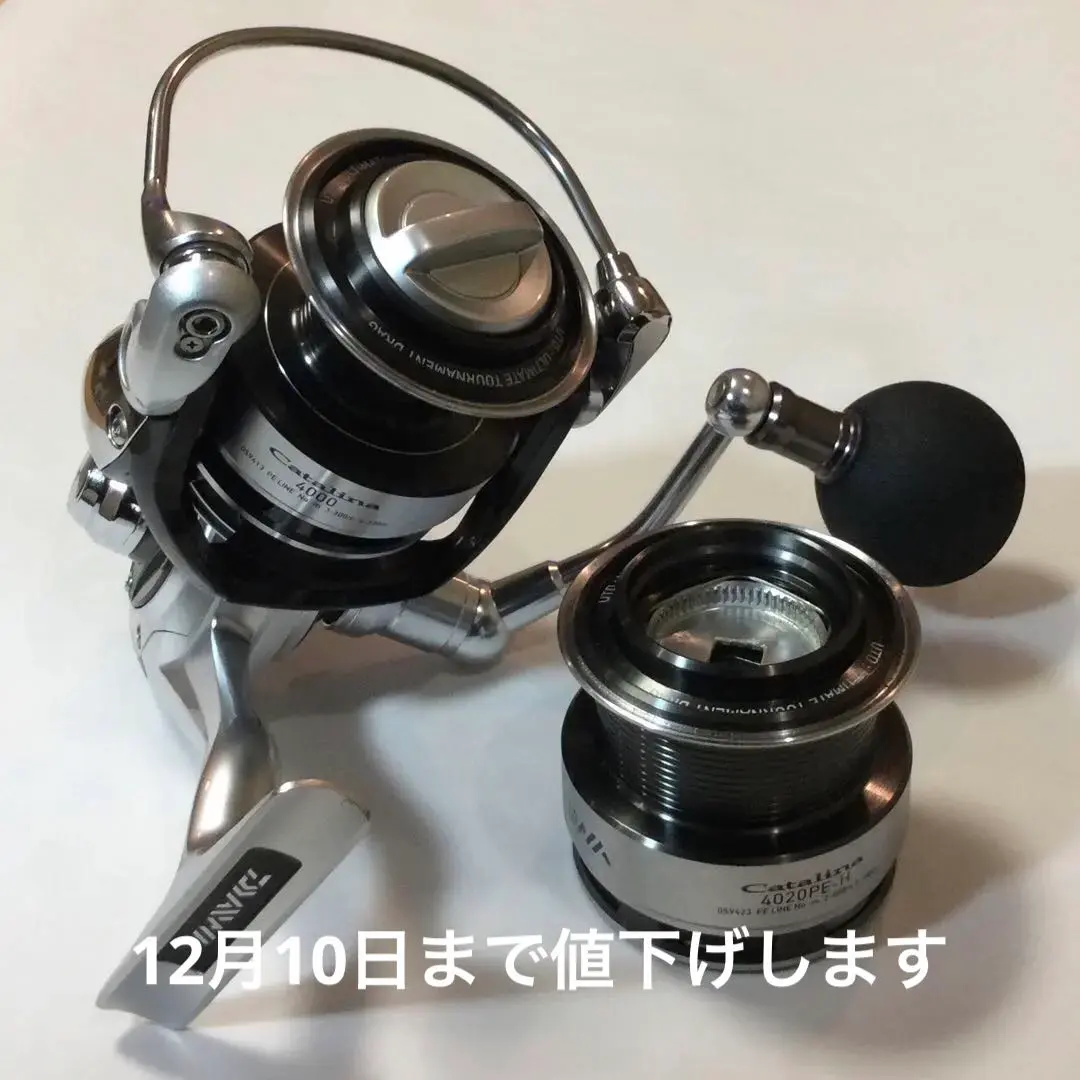 2026年最新】キャタリナ 4020PE-Hの人気アイテム - メルカリ