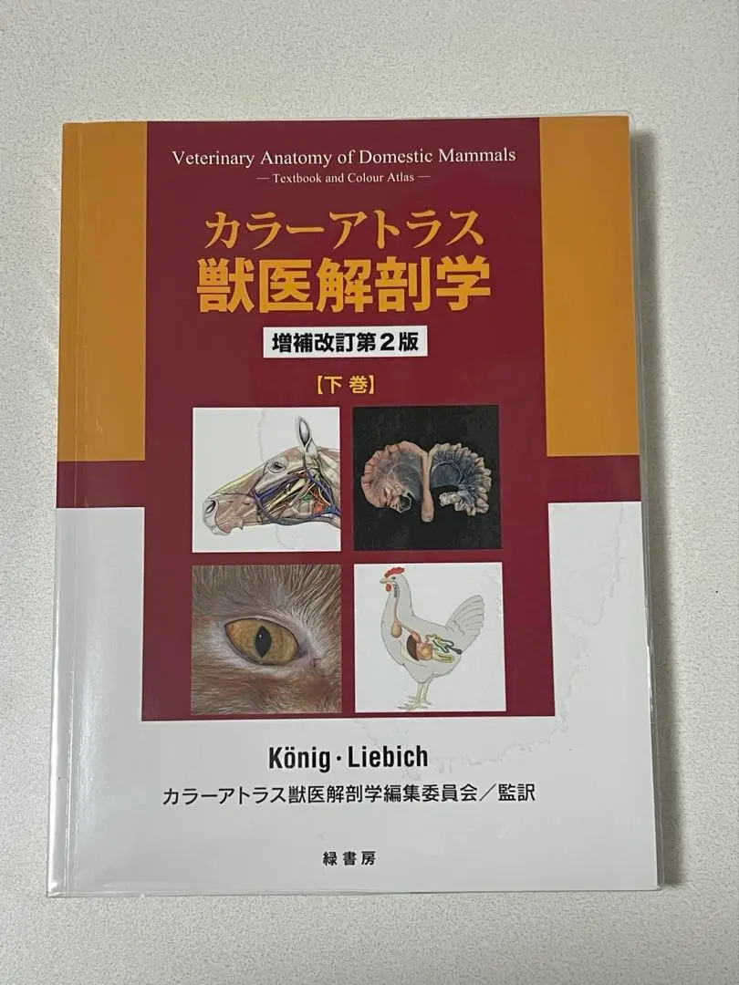 2026年最新】カラーアトラス獣医解剖学〈下巻〉の人気アイテム - メルカリ