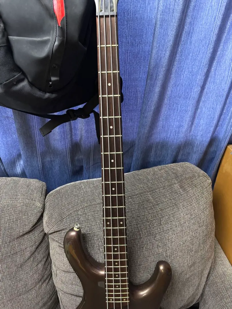 2026年最新】ibanez EDBの人気アイテム - メルカリ